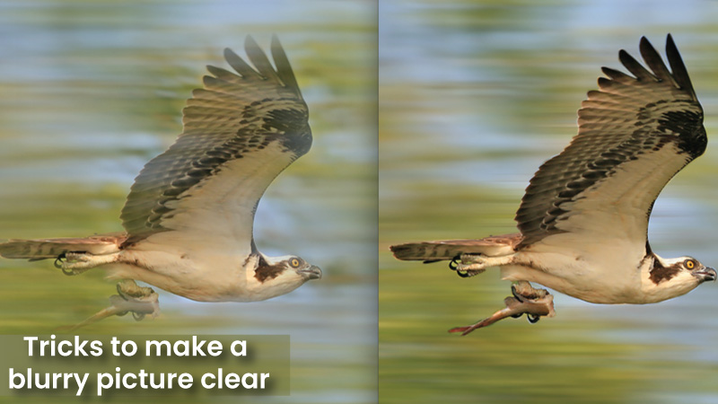 Tricks to make a blurry picture clear