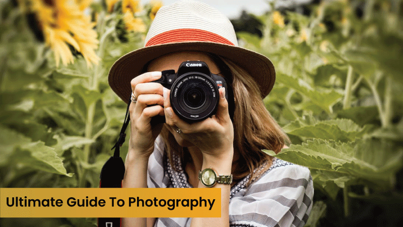 Ultimate Guide To Photography