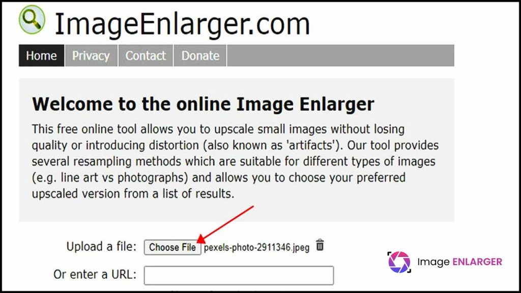 How to Use Image Enlarger tool?